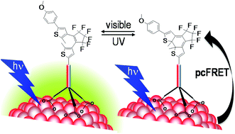 Graphical abstract: Discrimination between FRET and non-FRET quenching in a photochromic CdSe quantum dot/dithienylethene dye system