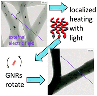 Graphical abstract: Spatial temperature mapping within polymer nanocomposites undergoing ultrafast photothermal heating via gold nanorods