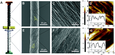 Graphical abstract: Torsional behaviors of polymer-infiltrated carbon nanotube yarn muscles studied with atomic force microscopy
