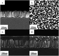 Graphical abstract: Investigation of the localized surface plasmon effect from Au nanoparticles in ZnO nanorods for enhancing the performance of polymer solar cells