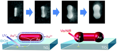 Graphical abstract: Photoelectrochemical synthesis, optical properties and plasmon-induced charge separation behaviour of gold nanodumbbells on TiO2