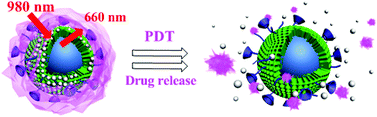 Graphical abstract: Amphiphilic copolymer coated upconversion nanoparticles for near-infrared light-triggered dual anticancer treatment