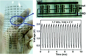 Graphical abstract: Flexible logic circuits based on top-gate thin film transistors with printed semiconductor carbon nanotubes and top electrodes