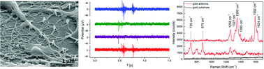 Graphical abstract: 3D plasmonic nanoantennas integrated with MEA biosensors