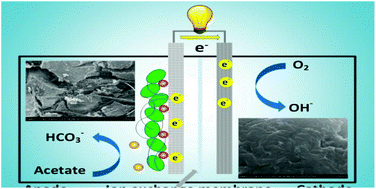 Graphical abstract: Graphene-modified electrodes for enhancing the performance of microbial fuel cells