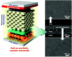 Graphical abstract: High performance electrocatalyst consisting of CoS nanoparticles on an organized mesoporous SnO2 film: its use as a counter electrode for Pt-free, dye-sensitized solar cells