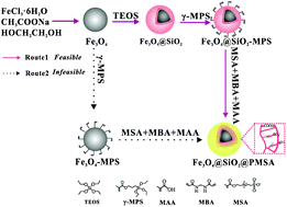 Graphical abstract: Facile synthesis of zwitterionic polymer-coated core–shell magnetic nanoparticles for highly specific capture of N-linked glycopeptides