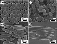 Graphical abstract: Geometrical implication of ion transporters employing an ellipsoidal hollow structure in pseudo-solid electrolytes