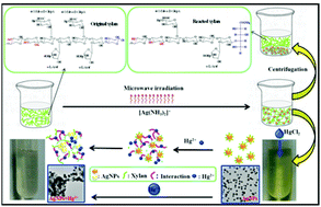 Graphical abstract: Green synthesis of silver nanoparticles in xylan solution via Tollens reaction and their detection for Hg2+