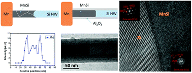 Graphical abstract: Dynamic observation on the growth behaviors in manganese silicide/silicon nanowire heterostructures