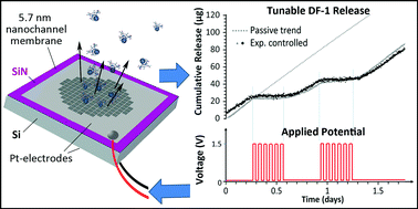 Graphical abstract: Leveraging electrokinetics for the active control of dendritic fullerene-1 release across a nanochannel membrane