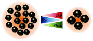 Graphical abstract: High performance multi-core iron oxide nanoparticles for magnetic hyperthermia: microwave synthesis, and the role of core-to-core interactions