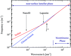 Graphical abstract: Long wavelength undulations dominate dynamics in large surfactant membrane patches