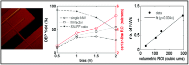 Graphical abstract: Single nanowire manipulation within dielectrophoretic force fields in the sub-crossover frequency regime