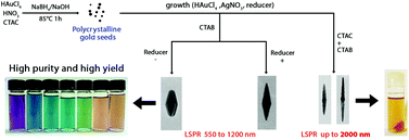 Graphical abstract: From gold nanobipyramids to nanojavelins for a precise tuning of the plasmon resonance to the infrared wavelengths: experimental and theoretical aspects