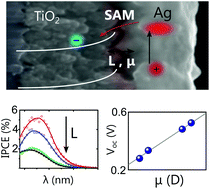 Graphical abstract: Molecular interfaces for plasmonic hot electron photovoltaics