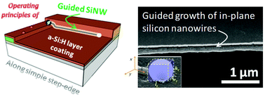 Graphical abstract: Operating principles of in-plane silicon nanowires at simple step-edges
