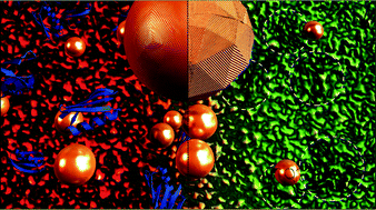 Graphical abstract: Characterizing nanoparticles in complex biological media and physiological fluids with depolarized dynamic light scattering