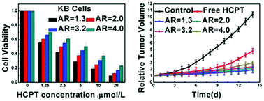Graphical abstract: The aspect ratio effect of drug nanocrystals on cellular internalization efficiency, uptake mechanisms, and in vitro and in vivo anticancer efficiencies
