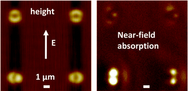 Graphical abstract: Near-field asymmetries in plasmonic resonators