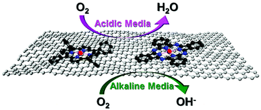 Graphical abstract: Graphene supported non-precious metal-macrocycle catalysts for oxygen reduction reaction in fuel cells