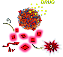 Graphical abstract: Hyaluronan-decorated polymer nanoparticles targeting the CD44 receptor for the combined photo/chemo-therapy of cancer