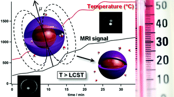 Graphical abstract: Nano-thermometers with thermo-sensitive polymer grafted USPIOs behaving as positive contrast agents in low-field MRI