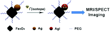 Graphical abstract: Synthesis of heterodimer radionuclide nanoparticles for magnetic resonance and single-photon emission computed tomography dual-modality imaging