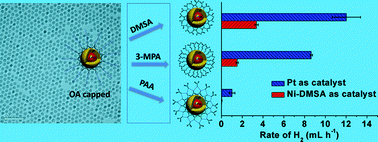 Graphical abstract: The important role of surface ligand on CdSe/CdS core/shell nanocrystals in affecting the efficiency of H2 photogeneration from water