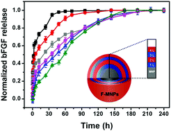 Graphical abstract: Controlled surface functionality of magnetic nanoparticles by layer-by-layer assembled nano-films