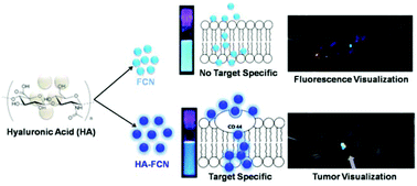 Graphical abstract: In situ synthesis of luminescent carbon nanoparticles toward target bioimaging