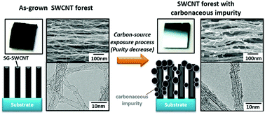 Graphical abstract: Quantitative assessment of the effect of purity on the properties of single wall carbon nanotubes