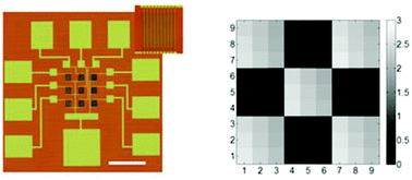 Graphical abstract: Room temperature infrared imaging sensors based on highly purified semiconducting carbon nanotubes