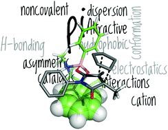 Graphical abstract: Dissecting non-covalent interactions in oxazaborolidinium catalyzed cycloadditions of maleimides