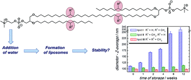 Graphical abstract: Structure–property relationships in a series of diglycerol tetraether model lipids and their lyotropic assemblies: the effect of branching topology and chirality