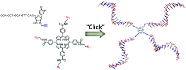 Graphical abstract: Synthesis of a multibranched porphyrin–oligonucleotide scaffold for the construction of DNA-based nano-architectures