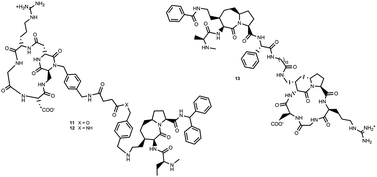 Graphical abstract: Synthesis and biological evaluation of dual action cyclo-RGD/SMAC mimetic conjugates targeting αvβ3/αvβ5 integrins and IAP proteins