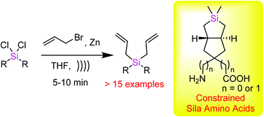 Graphical abstract: Zinc mediated allylations of chlorosilanes promoted by ultrasound: Synthesis of novel constrained sila amino acids