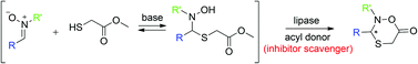 Graphical abstract: Lipase-catalyzed asymmetric synthesis of oxathiazinanones through dynamic covalent kinetic resolution
