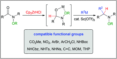 Graphical abstract: Nucleophilic addition to N-alkoxyamides