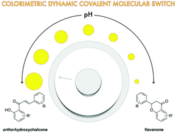 Graphical abstract: Impact of mono- and disubstitution on the colorimetric dynamic covalent switching chalcone/flavanone scaffold