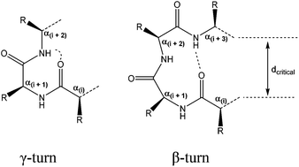 Graphical abstract: Proline N-oxides: modulators of the 3D conformation of linear peptides through “NO-turns”