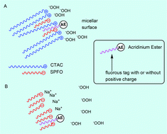 Graphical abstract: Synthesis and properties of chemiluminescent acridinium ester labels with fluorous tags