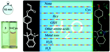 Graphical abstract: A colorimetric and ratiometric fluorescent probe for distinguishing cysteine from biothiols in water and living cells