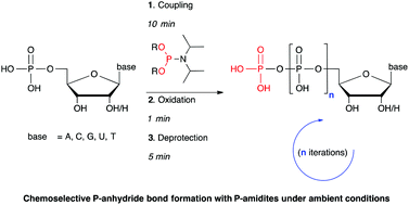 Graphical abstract: Phosphate esters and anhydrides – recent strategies targeting nature's favoured modifications