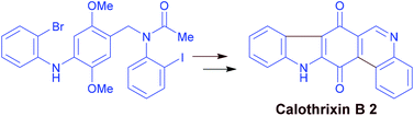 Graphical abstract: Palladium mediated intramolecular multiple C–X/C–H cross coupling and C–H activation: synthesis of carbazole alkaloids calothrixin B and murrayaquinone A