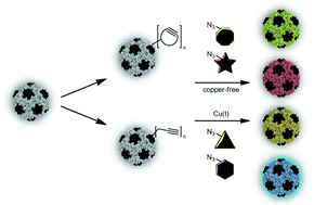 Graphical abstract: Versatile post-functionalization of the external shell of cowpea chlorotic mottle virus by using click chemistry
