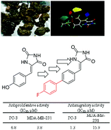 Graphical abstract: Marine natural products-inspired phenylmethylene hydantoins with potent in vitro and in vivo antitumor activities via suppression of Brk and FAK signaling