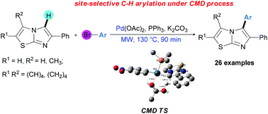 Graphical abstract: Palladium-catalyzed microwave-assisted direct arylation of imidazo[2,1-b]thiazoles with aryl bromides: synthesis and mechanistic study