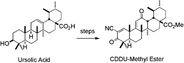 Graphical abstract: An efficient synthesis of methyl 2-cyano-3,12-dioxoursol-1,9-dien-28-oate (CDDU-methyl ester): analogues, biological activities, and comparison with oleanolic acid derivatives